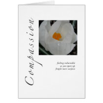 Compassion Crocus cards