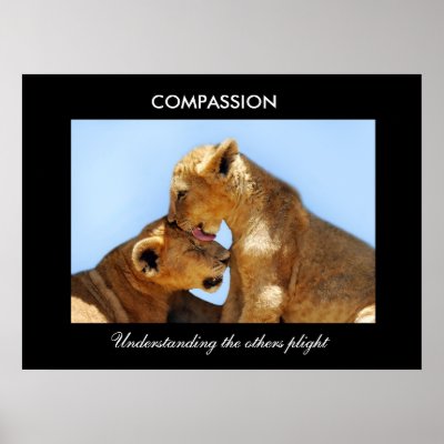 Compassion with orphaned cubs poster by laureenr