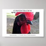 Concentration Poster