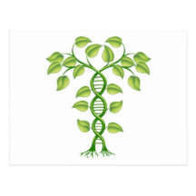 Concept de plante d'ADN Cartes Postales