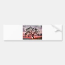 conception d'arbre de coucher du soleil autocollants pour voiture