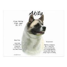 Conception d'histoire d'Akita (pinto) Carte Postale