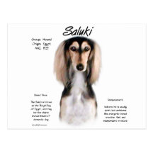 Conception d'histoire de Saluki Cartes Postales