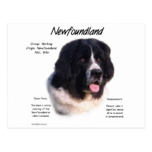 Conception d'histoire de Terre-Neuve (landseer) Cartes Postales