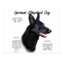 Conception d'histoire du chien de berger allemand  cartes postales