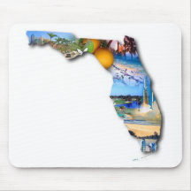 CONCEPTION D'IMAGE DE LA FLORIDE TAPIS DE SOURIS
