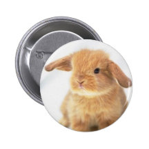 Conception heureuse de Pâques de lapin mignon de b Badge