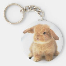 Conception heureuse de Pâques de lapin mignon de b Porte-clefs