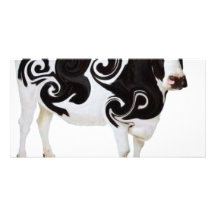 Conception tordue de vache photocarte