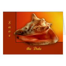 Conch Card