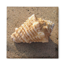 Conch Seashell Sand Beach Magnet