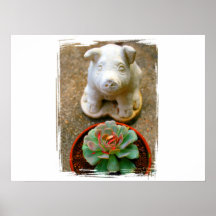 Concrete Sitting Pig with succulent plant Print