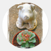 Concrete Sitting Pig with succulent plant Round Sticker