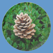 Cone plates