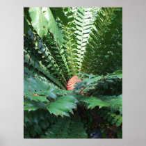 Cone Flower Print