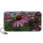Cone Flower Speakers