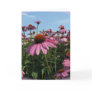 Cone Flowers Greeting Card