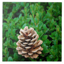 Cone tiles