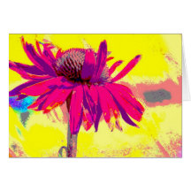 Coneflower Art 2 Greeting Cards
