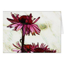 Coneflower Art Greeting Cards