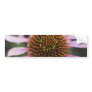 Coneflower Photo Bumper Stickers