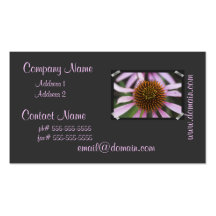 Coneflower Photo Business Cards