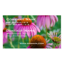 Coneflowers Business Card