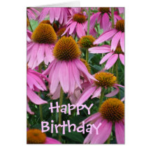 Coneflowers Cards