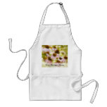Coneflowers In The Morning Sun Apron