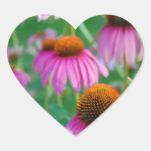 Coneflowers Stickers