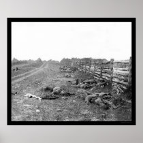 Confederate Casualties at Antietam 1862 Poster