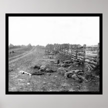 Confederate Casualties at Antietam 1862 Poster