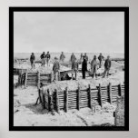 Confederate Fort Damnation Breastworks 1865 Poster