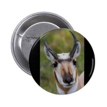 Confidence Pinback Buttons