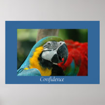 Confidence Print