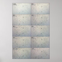 Confluence follow-up Chart Posters