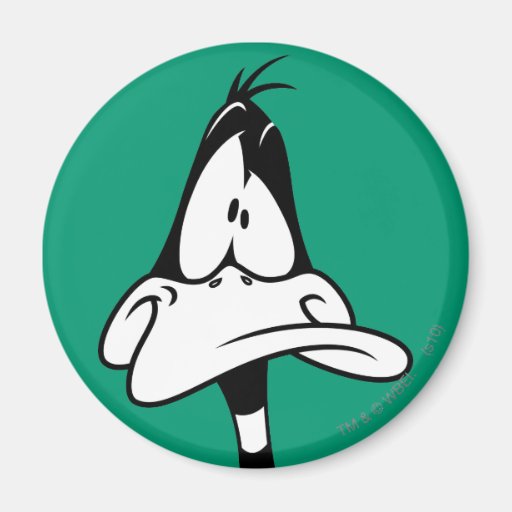 Confused Daffy Duck Face Magnets