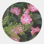 Confusion Of Plants Round Stickers