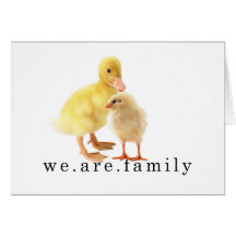 congatulations adoption card
