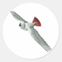 Congo African Grey Parrot Round Stickers