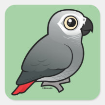 Congo African Grey Square Stickers