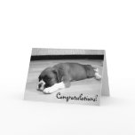 Congratulations Boxer Dog greeting card