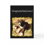 Congratulations Boxer Dog greeting card