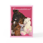 Congratulations Boxer greeting card