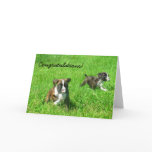 Congratulations Boxer Puppy Greeting Card