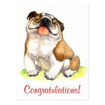 Congratulations Bulldog Puppy  Greeting Postcard