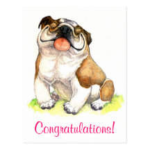 Congratulations Bulldog Puppy  Greeting Postcard