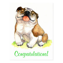 Congratulations Bulldog Puppy  Greeting Postcard