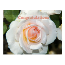 congratulations cartes postales