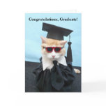 Congratulations Graduate!